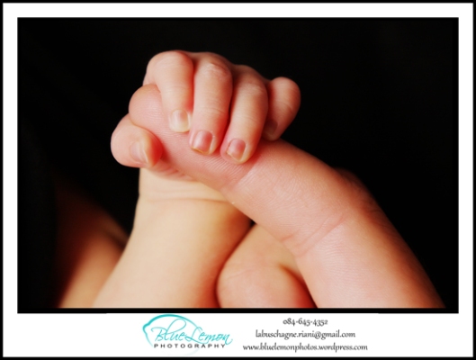 professional photos of newborn babies